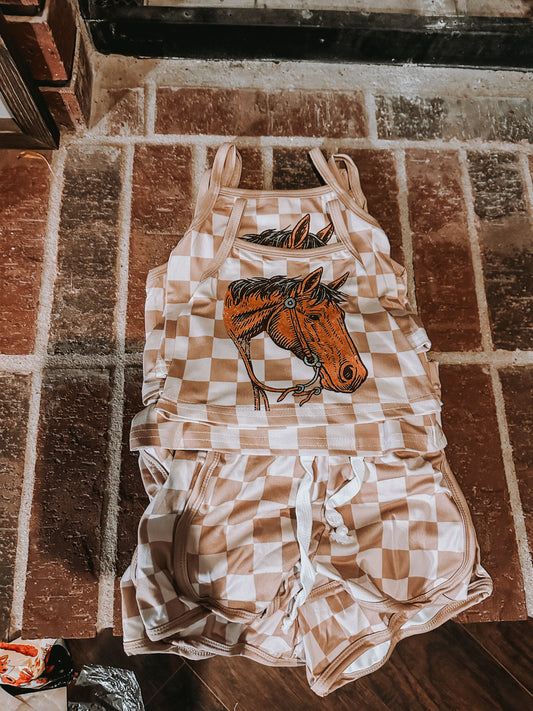 Horse Check Set