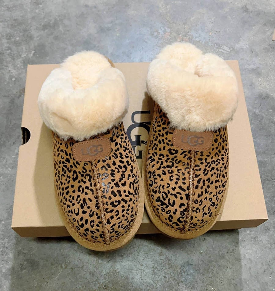 Cheetah slides